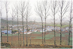 眾人拾柴火焰高